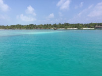 original IMG 7921