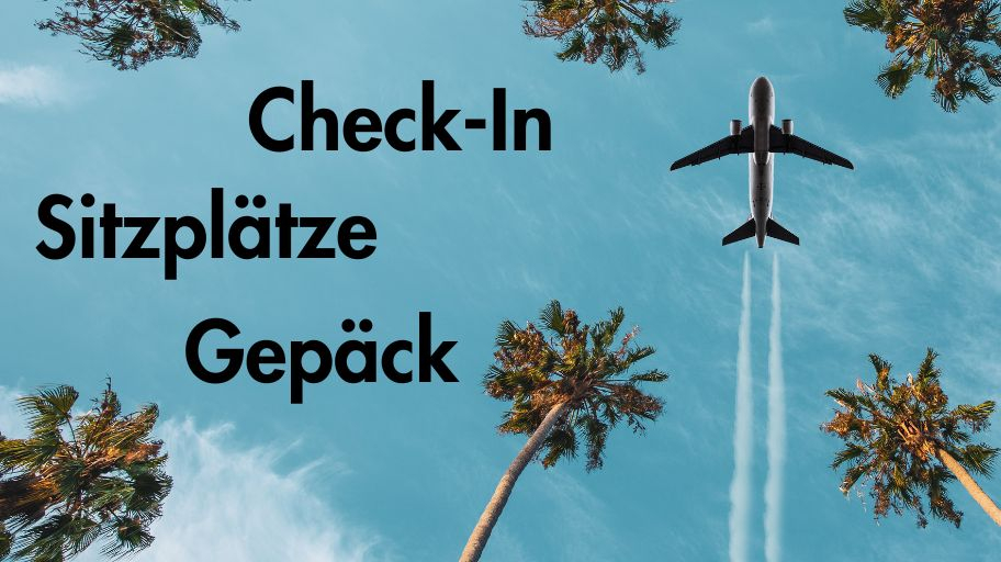 CheckIn Sitzplatz Gepaeck