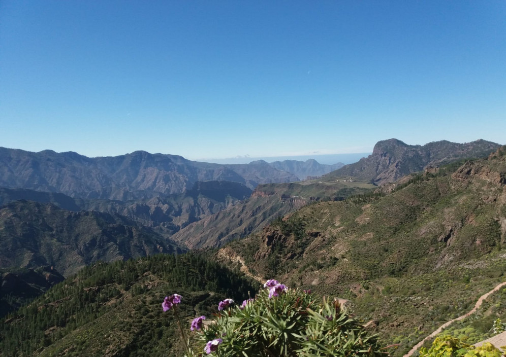 Gran Canaria hautnah erleben